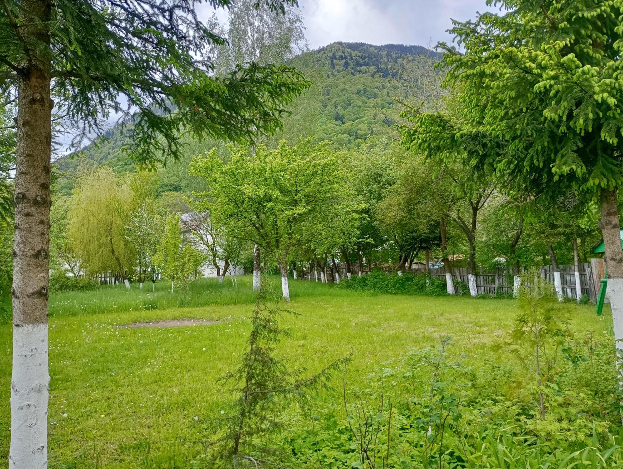 Pensiunea Irina 1 Si 2 Zărneşti Eksteriør billede